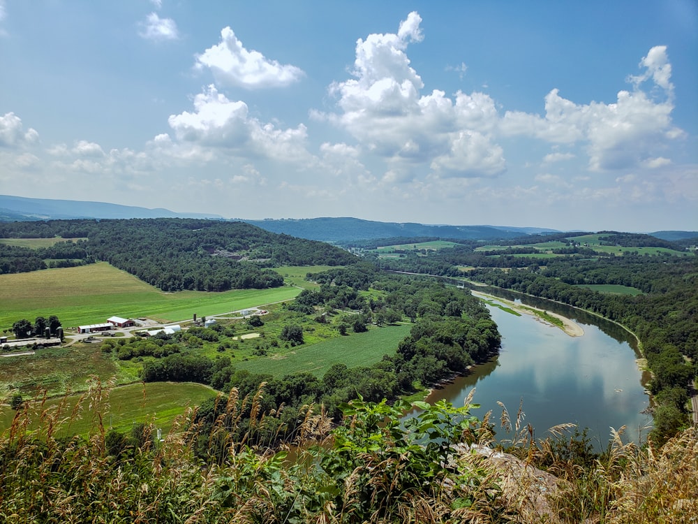 Champ d’herbe verte près du lac sous le ciel bleu pendant la journée