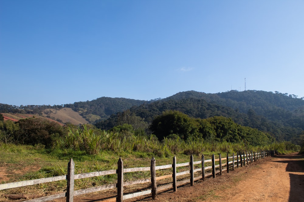 green grass field near mountain under blue sky during daytime