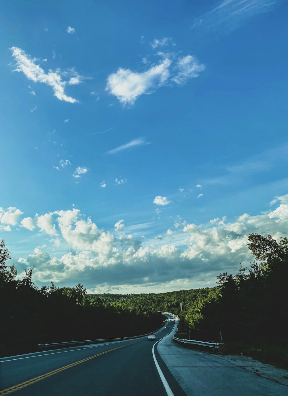 green trees under blue sky during daytime