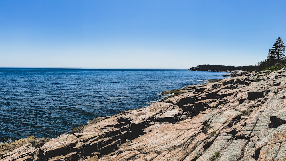 brown rocky shore near body of water during daytime