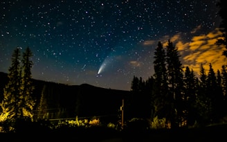 A starry night sky with a prominent comet visible, surrounded by a vast array of stars. Tall silhouettes of trees frame the scene, creating a natural boundary against the sky. Some clouds reflect an orange glow, adding a contrasting element to the cool tones of the night.