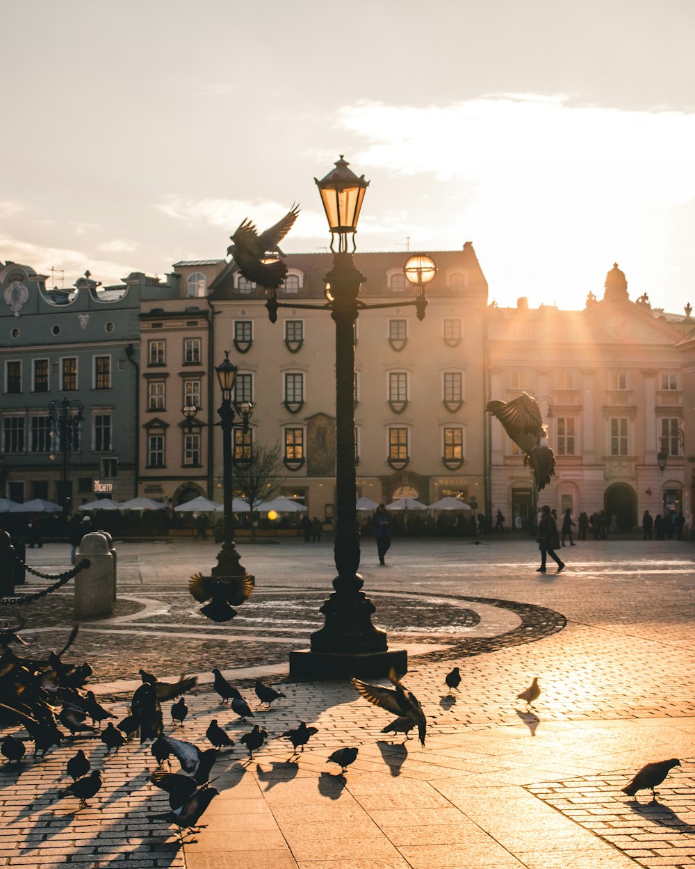 people walking on park near building during sunset