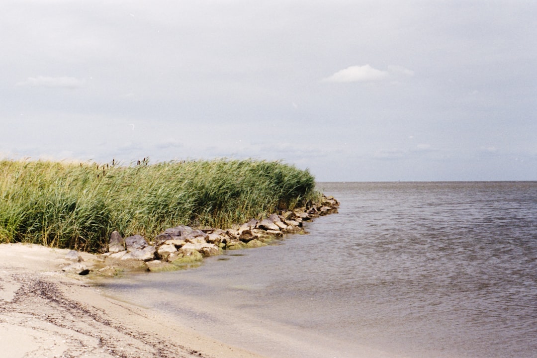 Beach photo spot Marken Das Pier