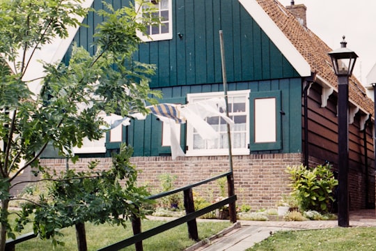 green tree beside brown wooden fence in Marken Netherlands