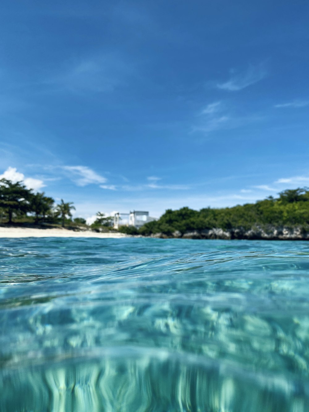 green trees beside body of water under blue sky during daytime