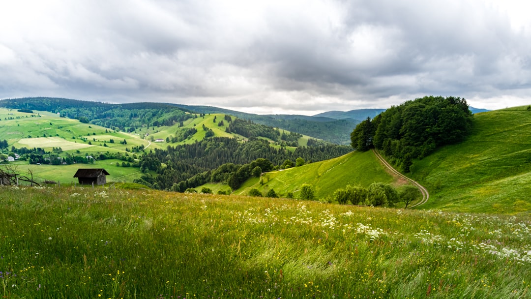 photo of Todtnau Hill near Schauinsland