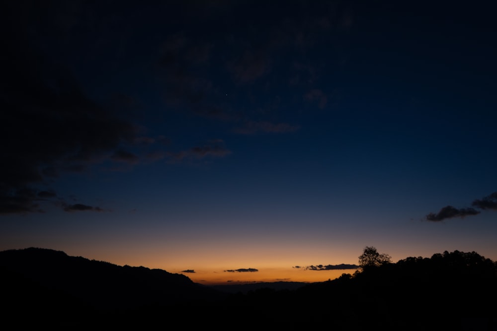 silhouette of trees during sunset