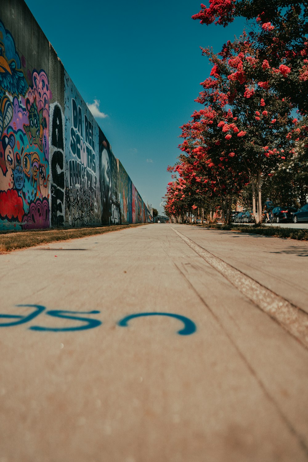 red and green wall graffiti