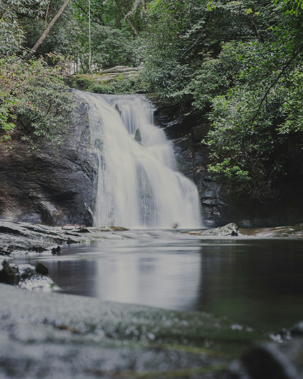 water falls in the middle of the forest