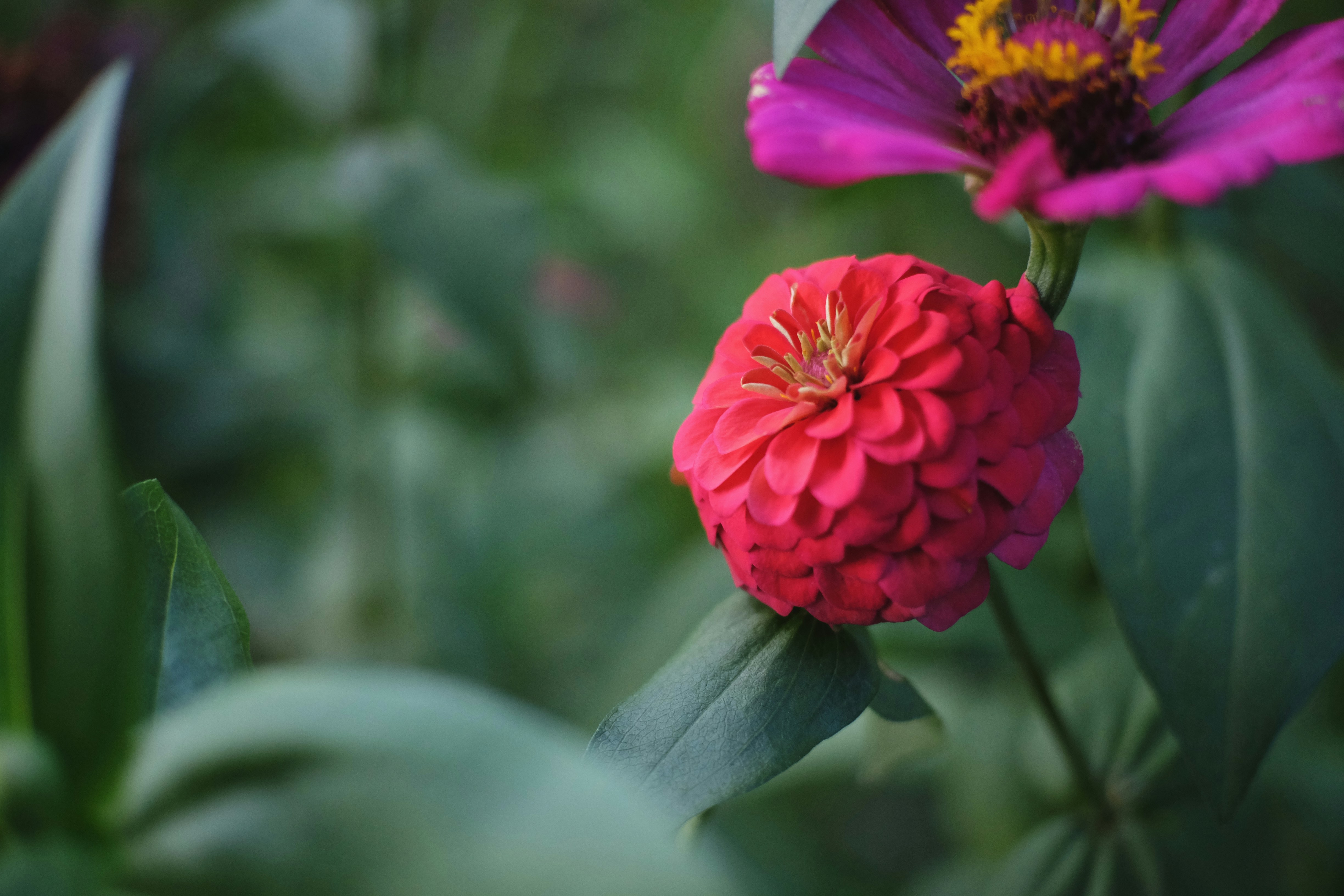 Photo by setsj