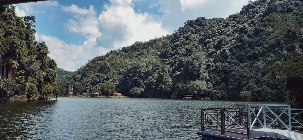 green trees beside body of water during daytime