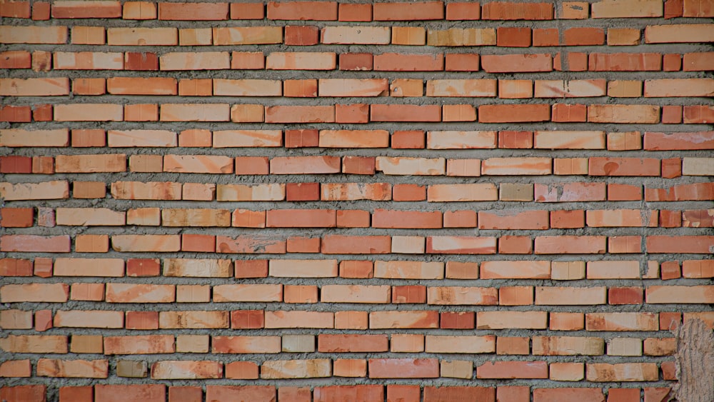 brown and white brick wall