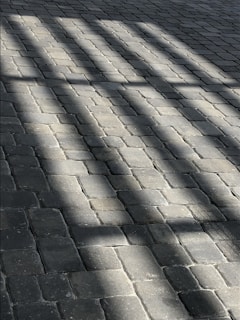 Shadows cast across a textured, cobblestone pavement, creating a pattern of light and dark areas.