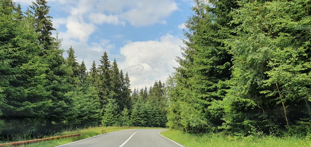 gray concrete road between green trees under blue sky and white clouds during daytime