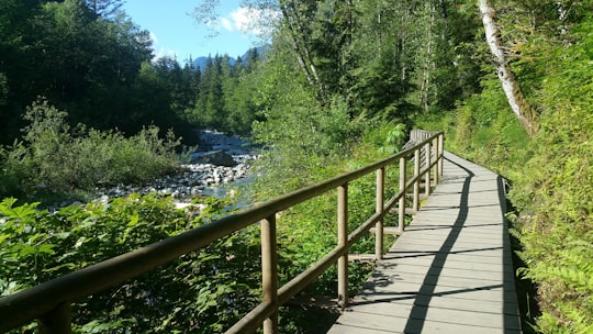brown wooden bridge over river in Lynn Headwaters Regional Park Canada