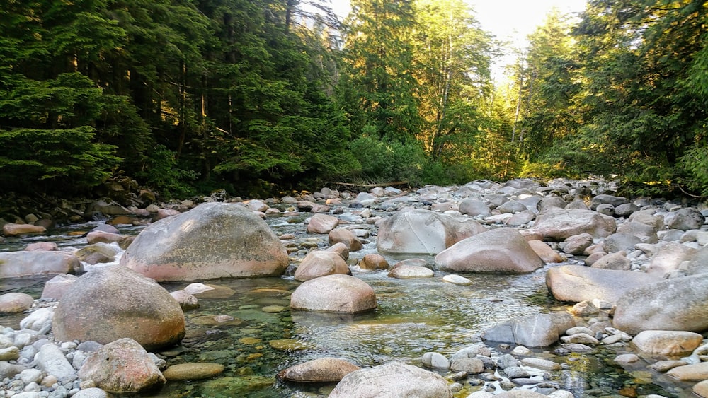 Rocas grises en el río durante el día