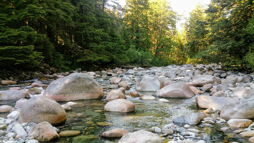 gray rocks on river during daytime