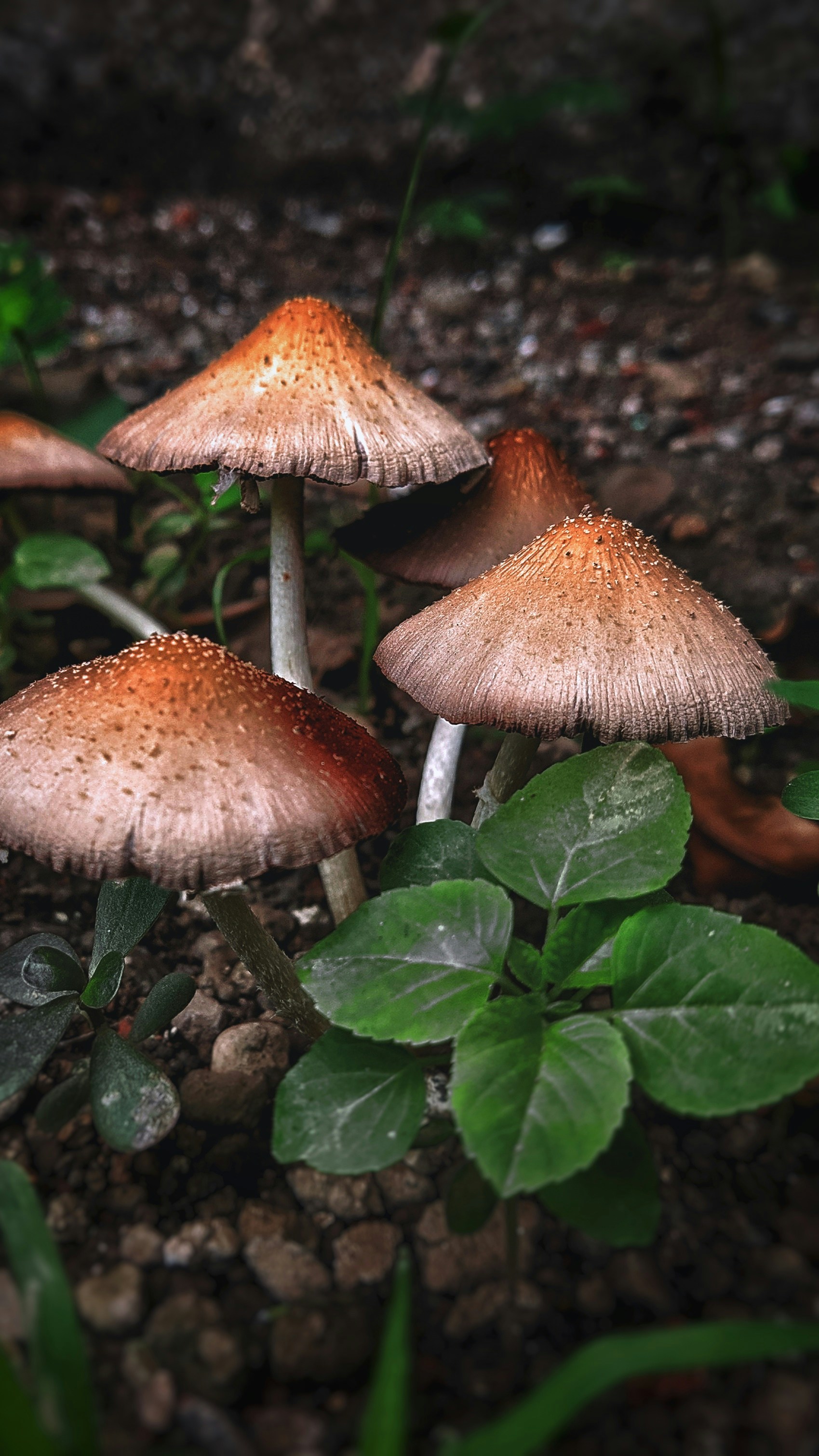 Photo by bhautik_andhariya