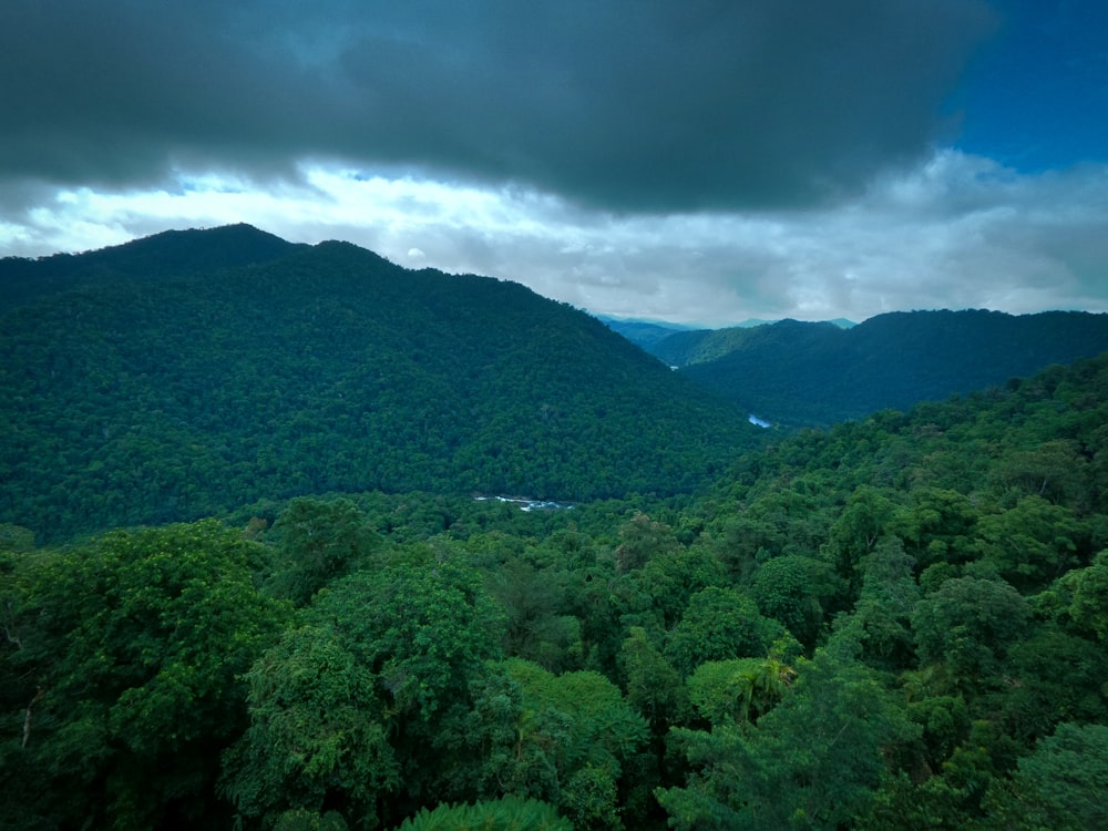 green trees on mountain under cloudy sky during daytime