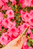 A hand holding a tube of lipstick against a backdrop of vibrant pink flowers and green leaves. The lipstick case is shiny and gold, contrasting with the natural floral background.