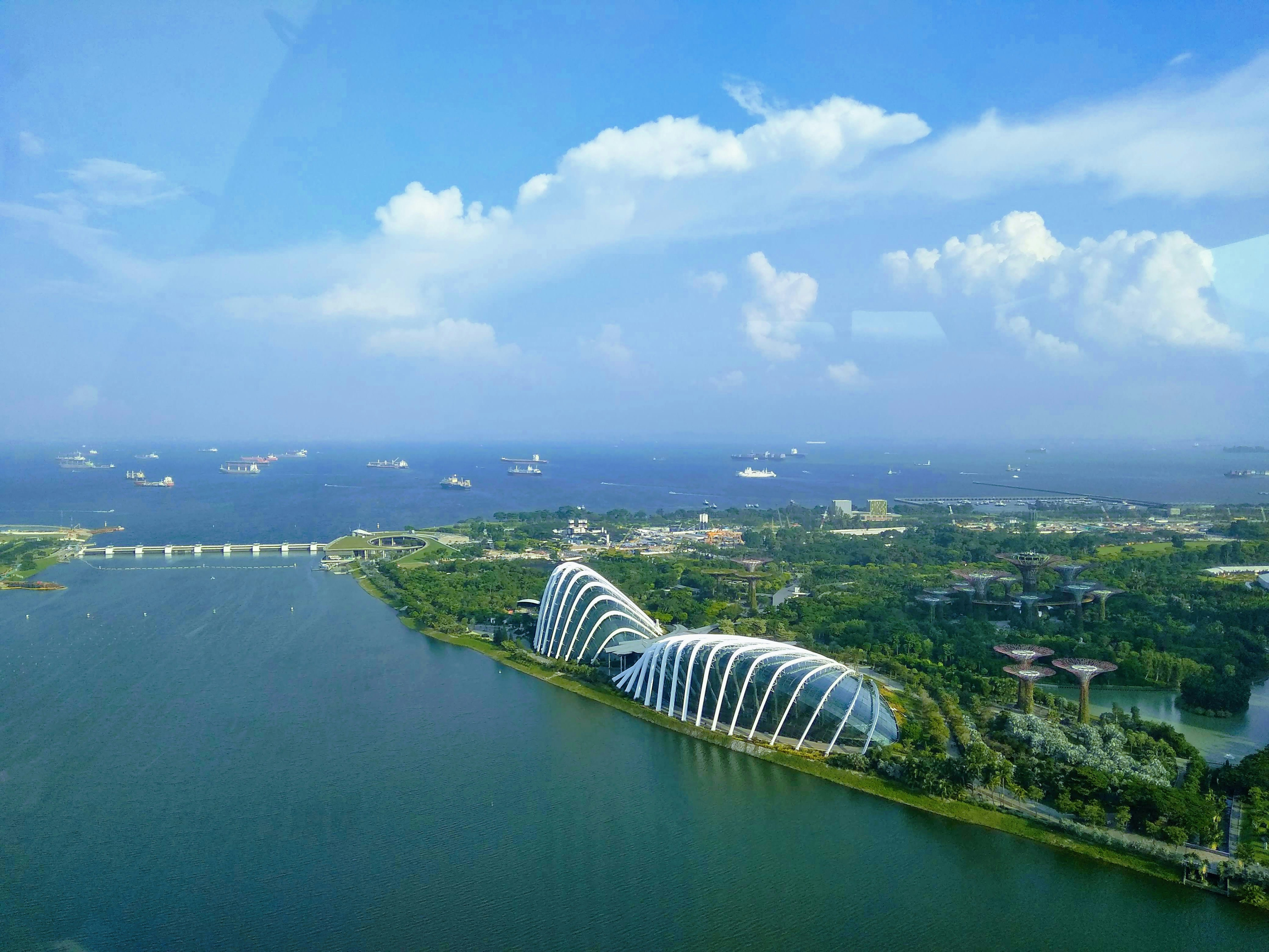 green grass field near body of water under blue sky during daytime, 