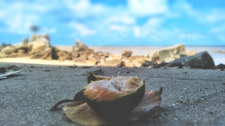 A serene Aegean shore with golden fruits displayed.
