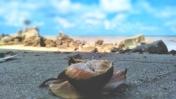 A serene Aegean shore with golden fruits displayed.