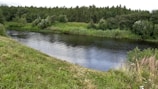 A serene river flows gently through a lush, green landscape. On either side of the river, dense forests and grasslands provide a natural border, with the reflection of the trees visible on the water's surface. Wildflowers and grasses grow alongside the riverbank, adding color and life to the scene.
