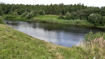 A serene river flows gently through a lush, green landscape. On either side of the river, dense forests and grasslands provide a natural border, with the reflection of the trees visible on the water's surface. Wildflowers and grasses grow alongside the riverbank, adding color and life to the scene.