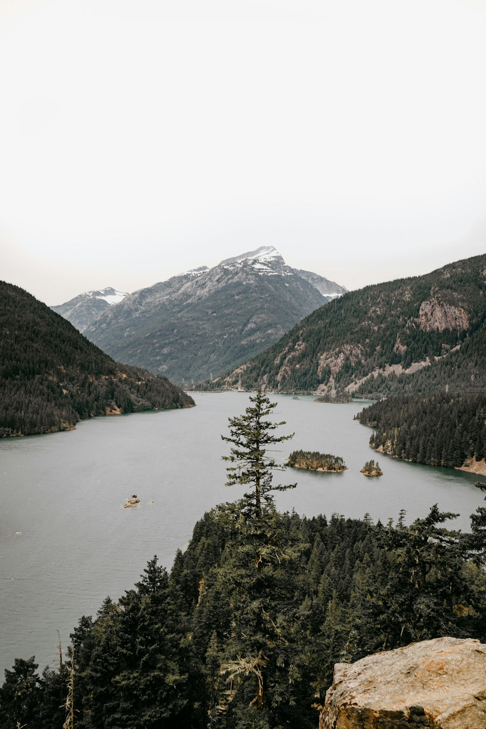 green trees near lake during daytime