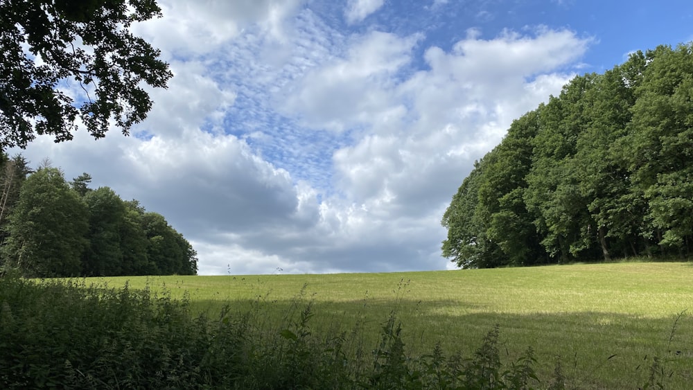 green grass field under blue sky and white clouds during daytime