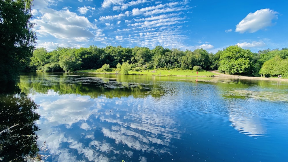 Grüne Bäume am Fluss unter blauem Himmel während des Tages