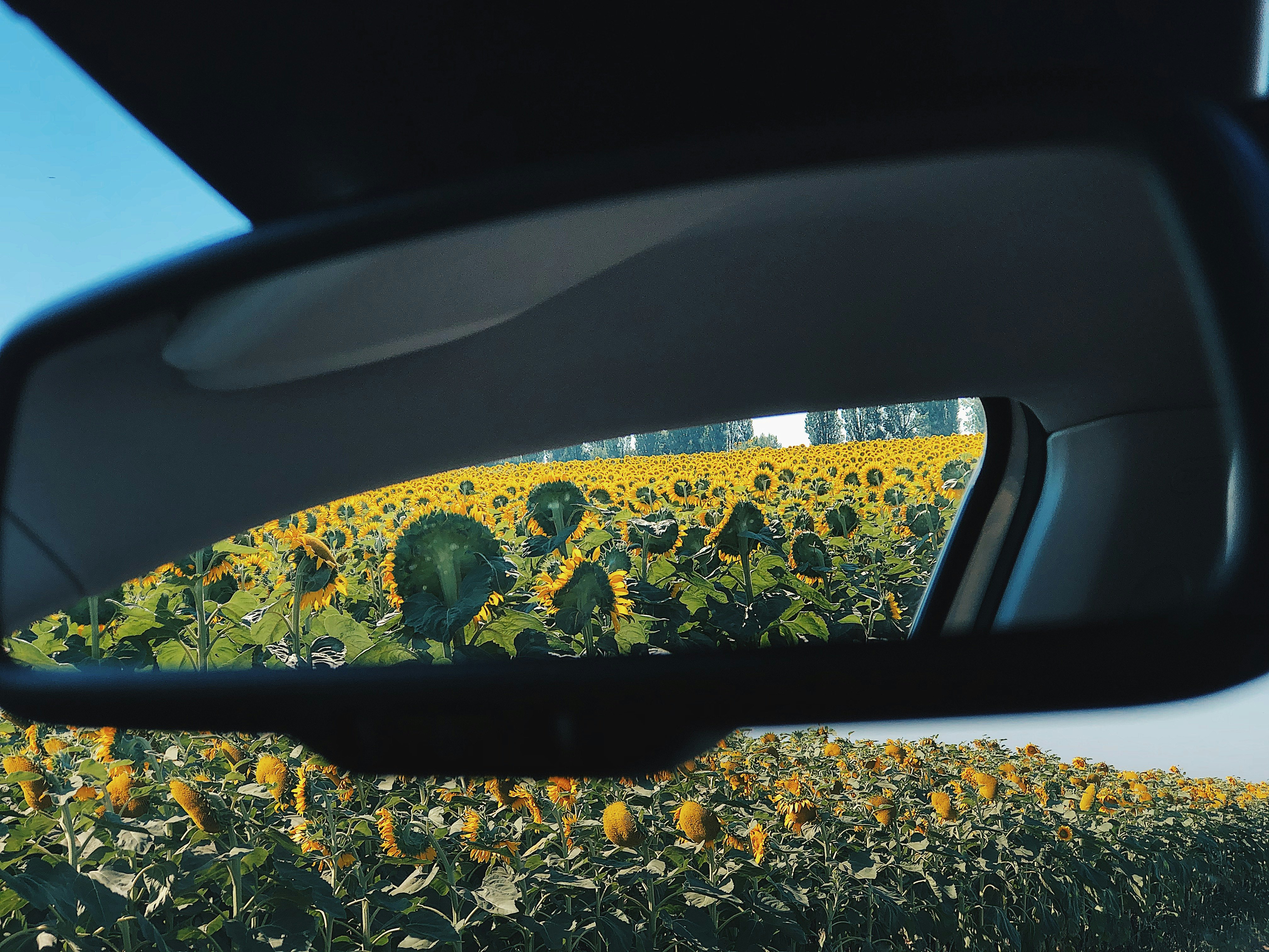 car window with water droplets