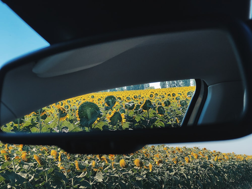 car window with water droplets