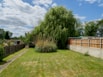 green trees near brown wooden fence during daytime