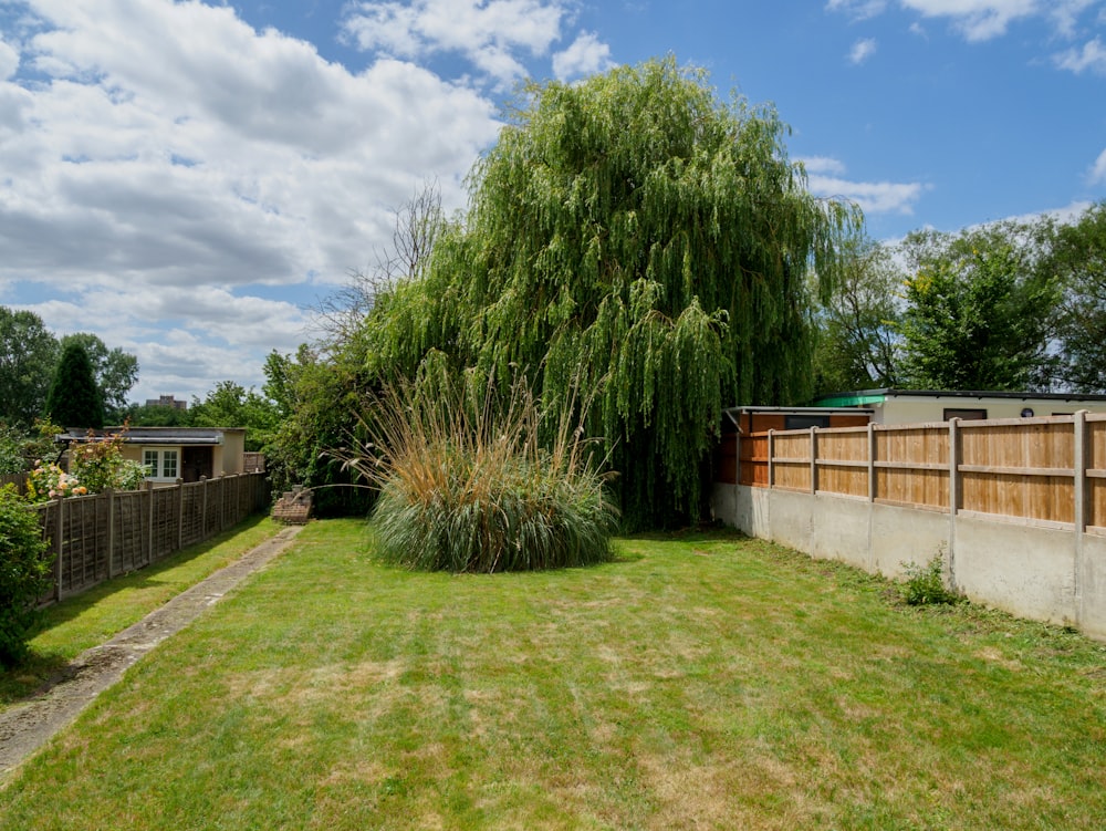 green trees near brown wooden fence during daytime