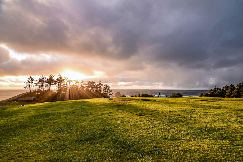 green grass field near brown mountain during daytime