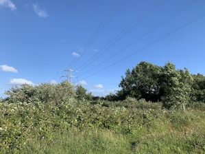 A landscape featuring lush greenery with trees and bushes. There are tall electricity pylons with power lines extending into the clear blue sky.