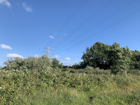 A landscape featuring lush greenery with trees and bushes. There are tall electricity pylons with power lines extending into the clear blue sky.