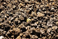Close-up of rugged basalt rocks freshly extracted from the quarry.