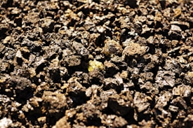 A close-up view of a surface covered with rough, jagged pieces of dark brown volcanic rock, with a few shiny yellowish minerals visible among the stones.