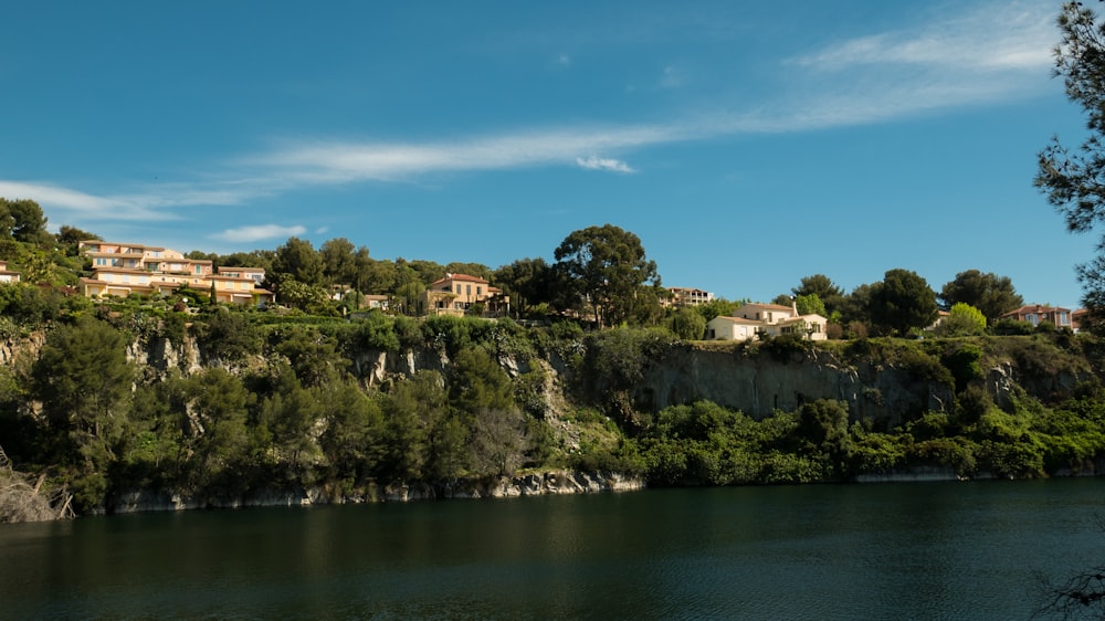 green trees near body of water during daytime