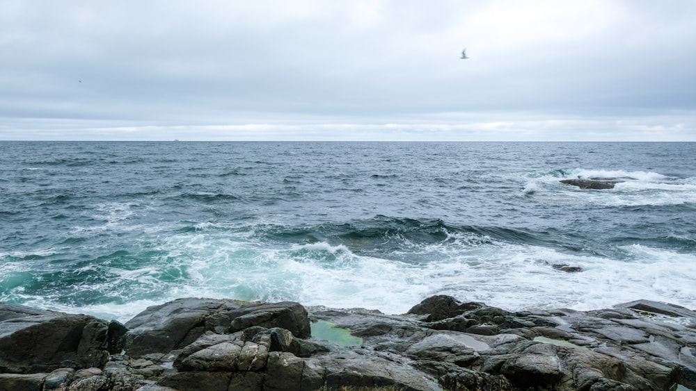 sea waves crashing on rocky shore during daytime