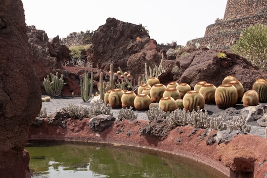 brown rocks on river during daytime in Lanzarote Spain