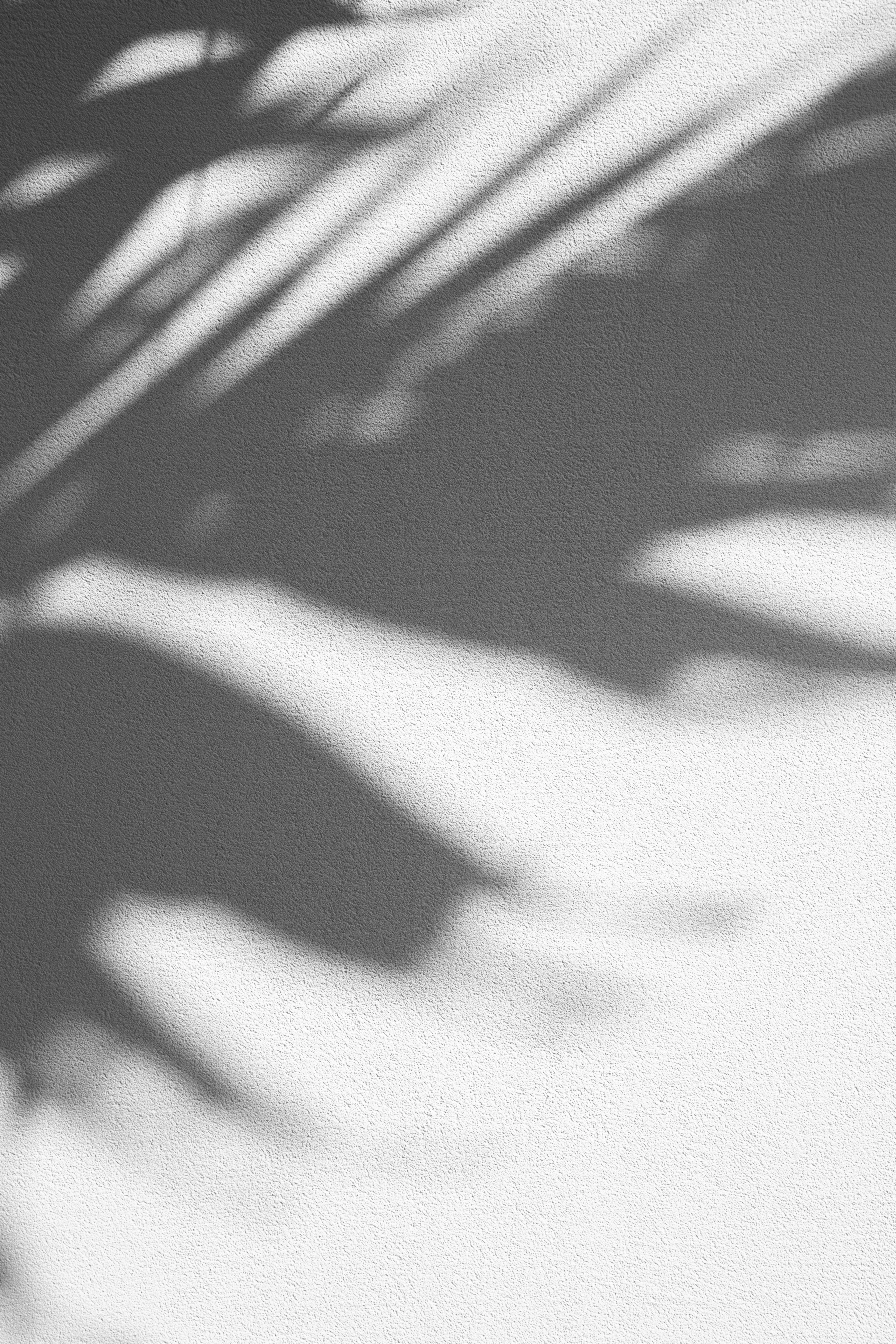 Afternoon Fronds by Leela Menon