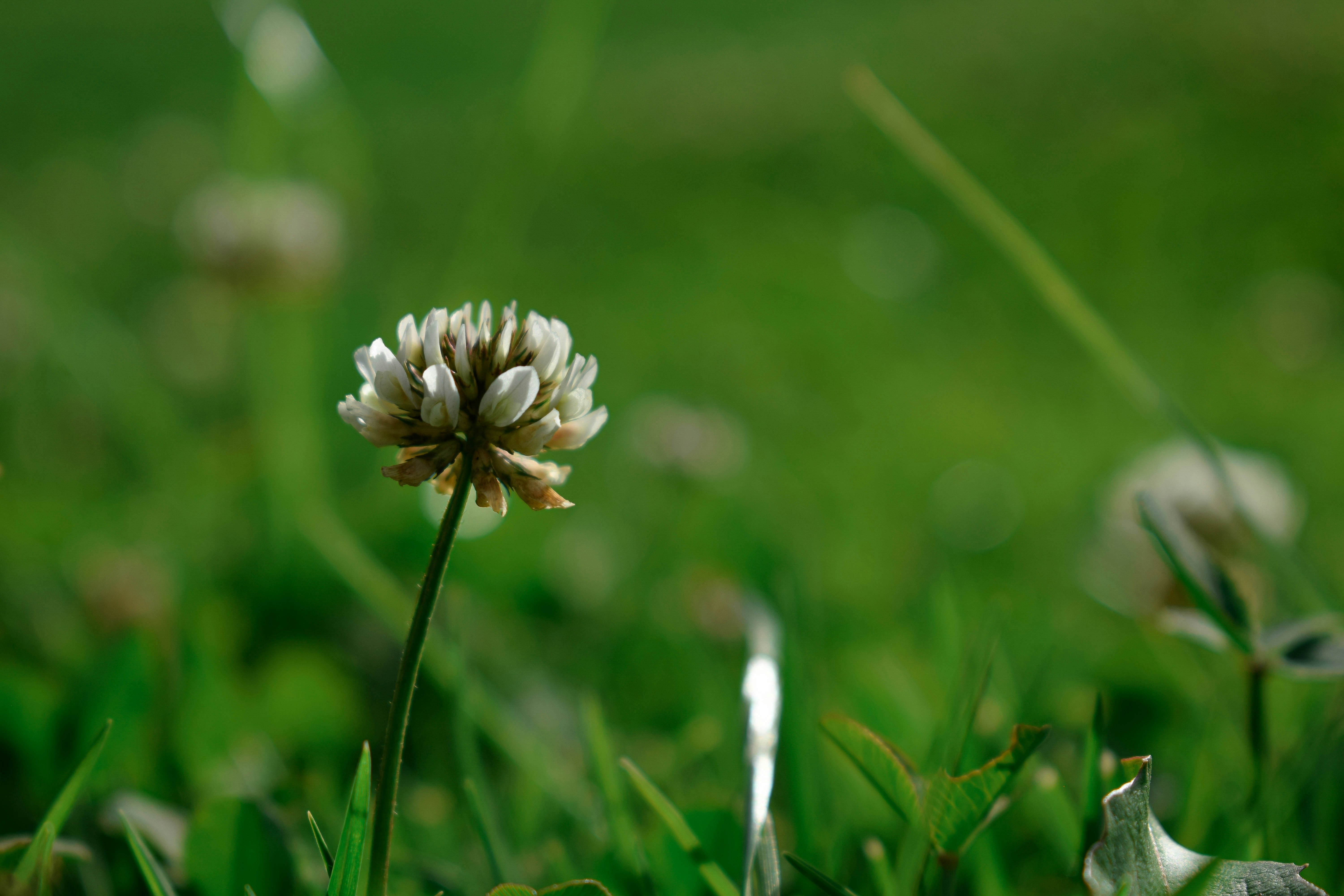 Photo by julianlarotta