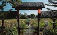 A person stands in the middle of a vibrant garden filled with blooming flowers and greenery. A wooden structure with red lanterns frames the scene, while a fence runs along the foreground. Pine trees and a clear blue sky complete the tranquil outdoor setting.
