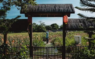 A person stands in the middle of a vibrant garden filled with blooming flowers and greenery. A wooden structure with red lanterns frames the scene, while a fence runs along the foreground. Pine trees and a clear blue sky complete the tranquil outdoor setting.