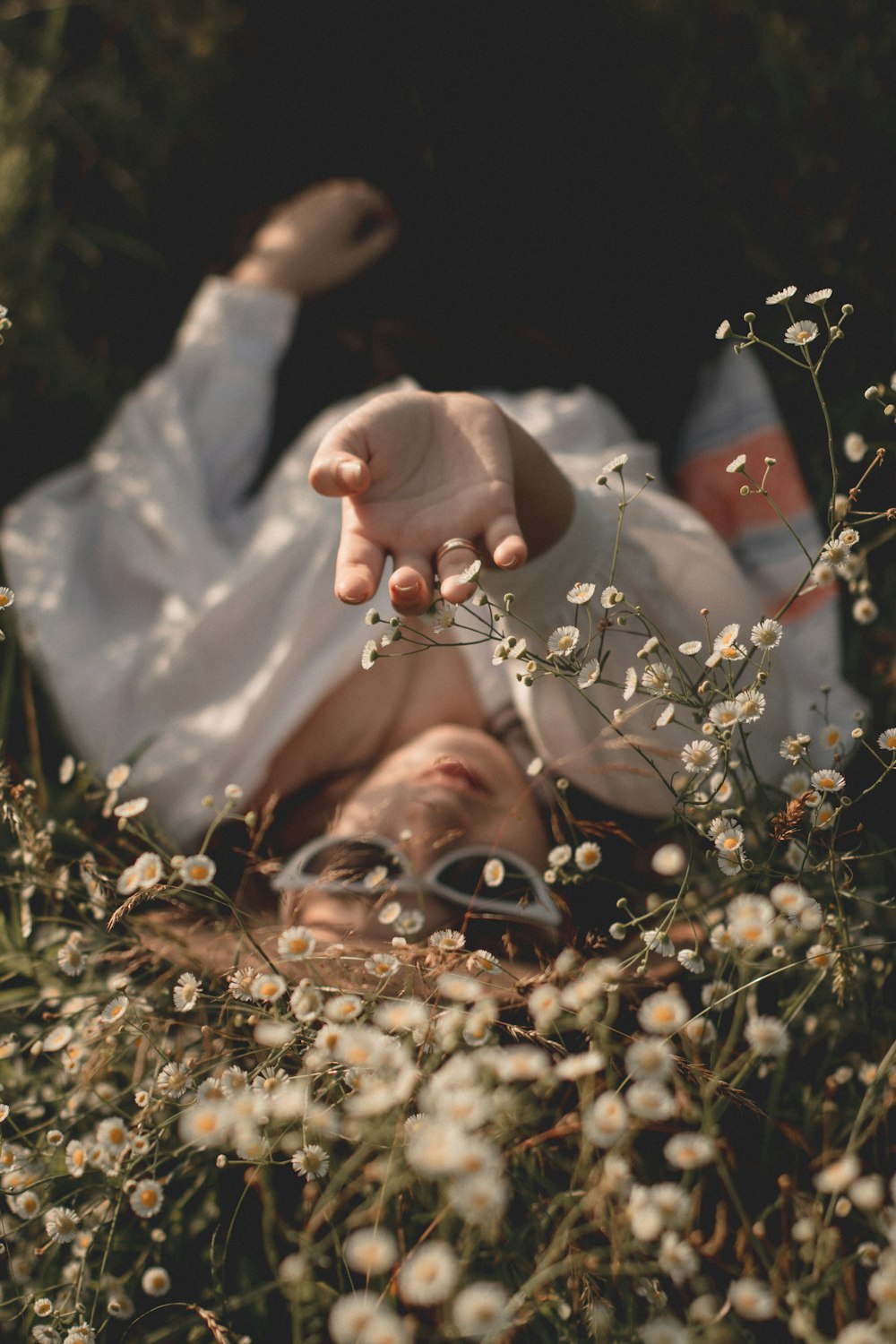 woman in white dress lying on white flower field during daytime