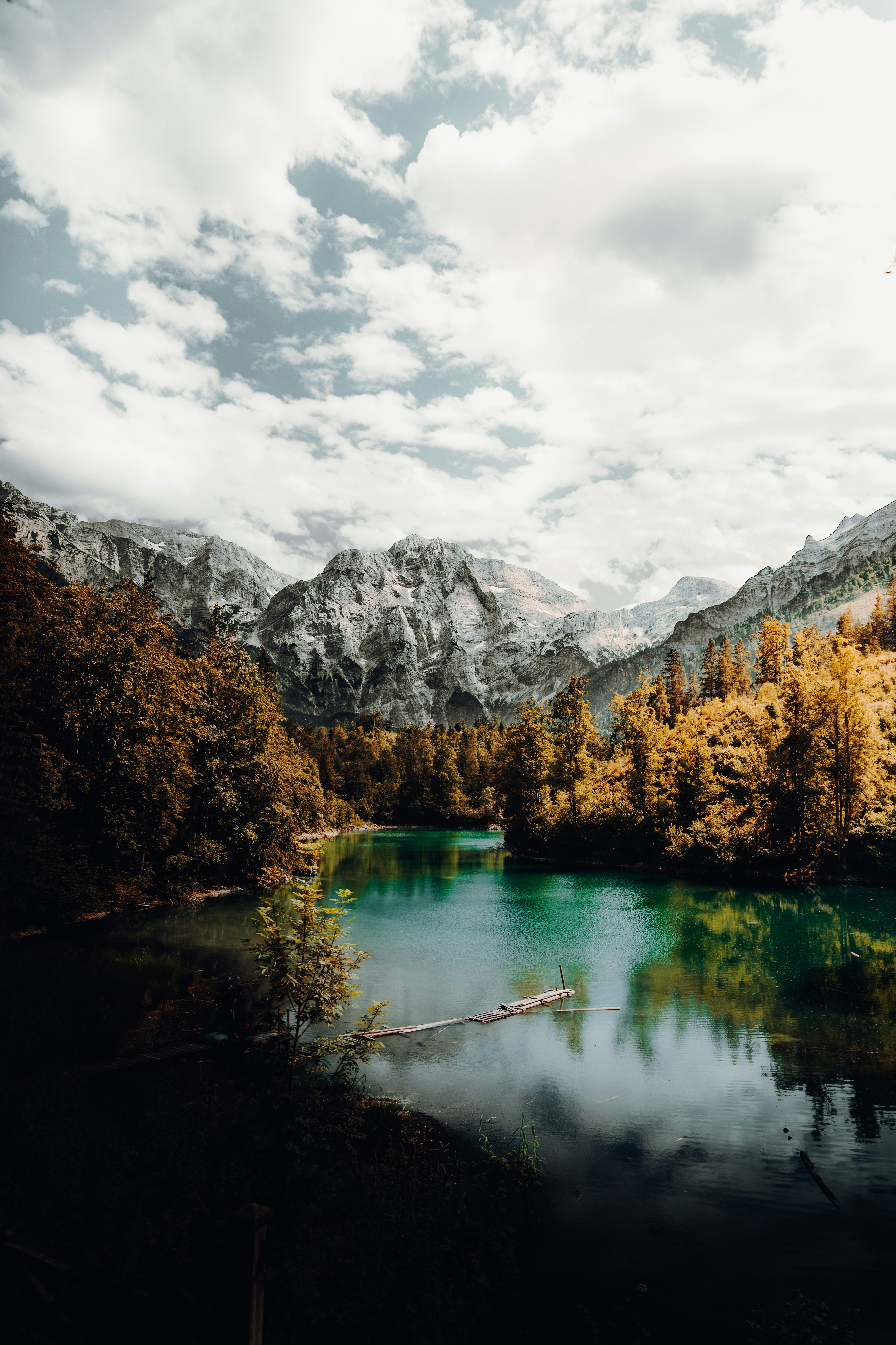 green trees near lake and mountain under white clouds during daytime